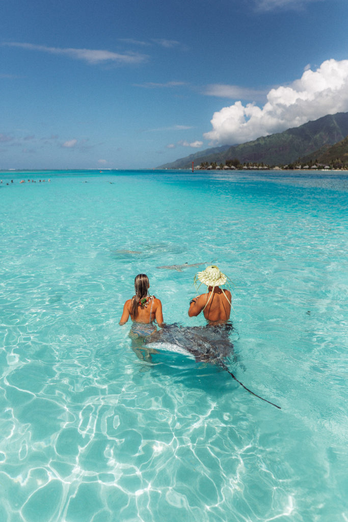 Man and woman looking away in the shallow waters, with a stingray approaching behind their backs.