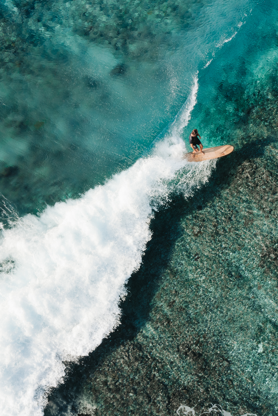 reef break surfing at Six Senses Laamu