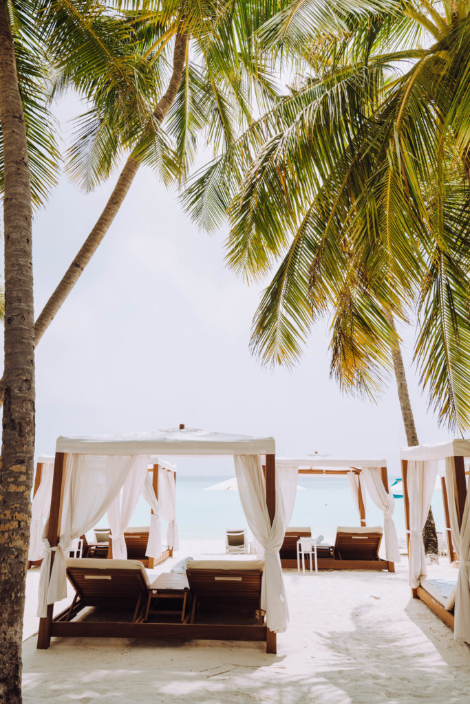 Daybeds under palm trees.
