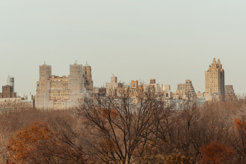Incredible view of Central Park from the 10th story of Hotel 1 Central Park location.