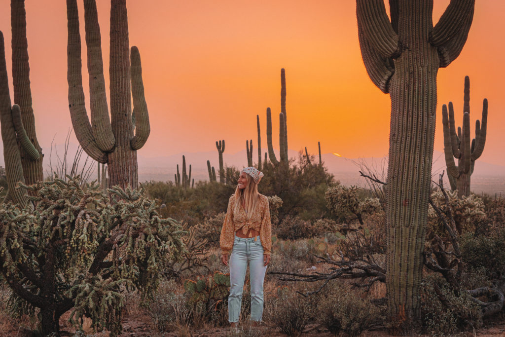 Sarah with plenty of cacti at sunset in Saguaro National Park