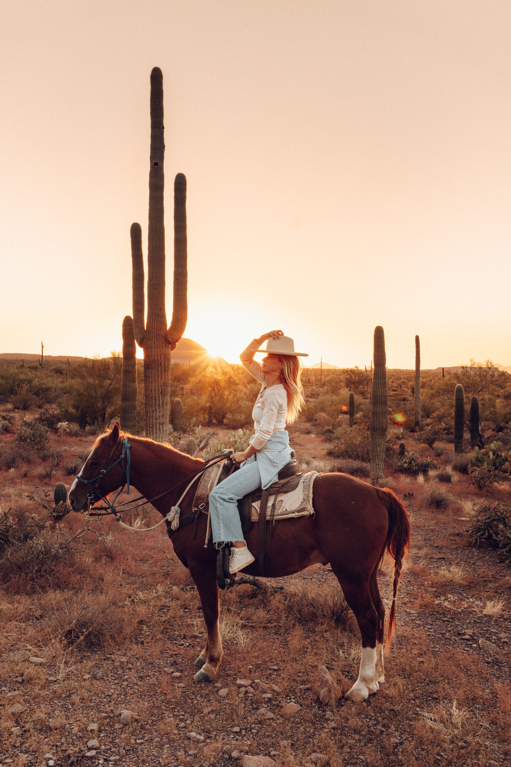 Sarah horse riding at sunset in Saguaro National Park