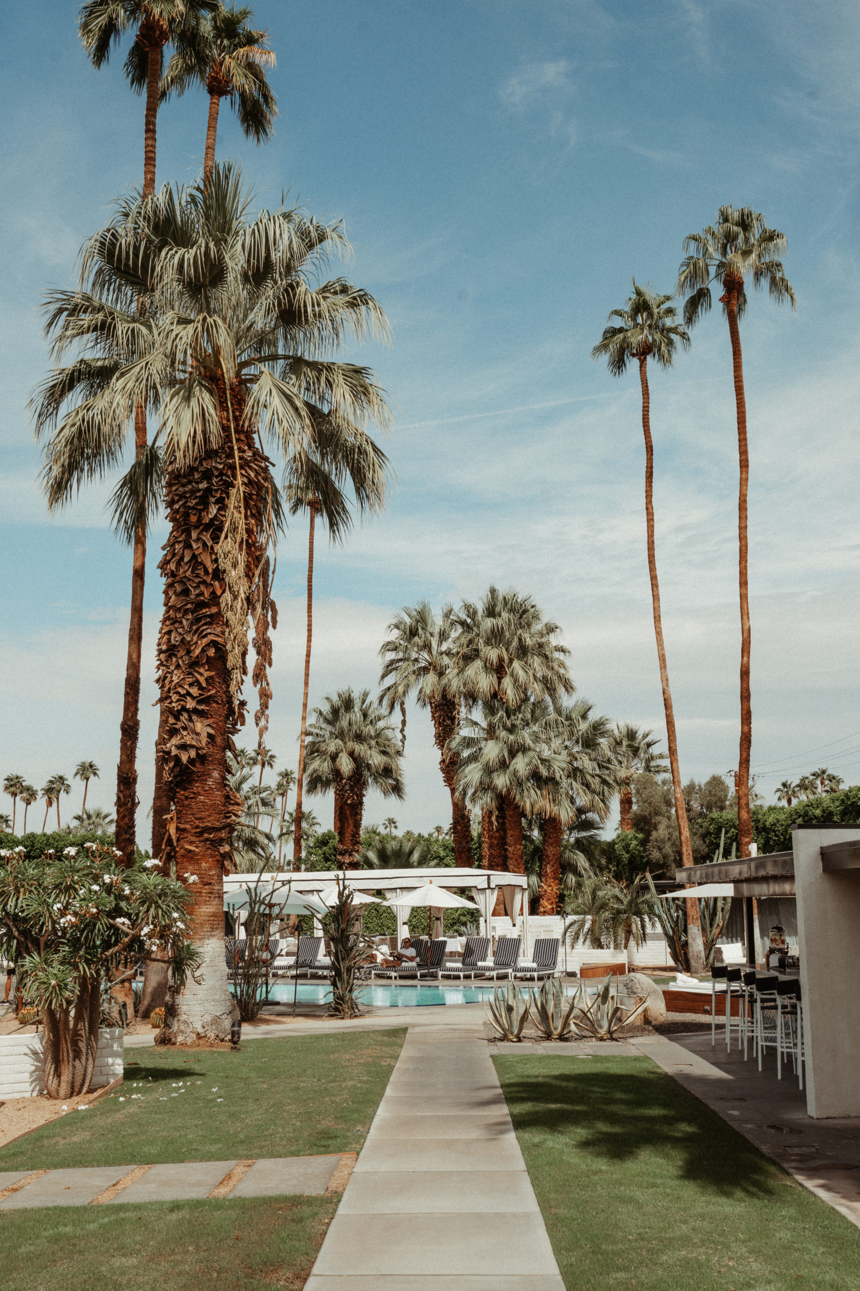 Palm Springs Itinerary - saltyluxe.com