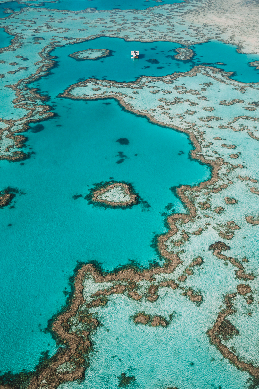 Heart Reef, Whitsundays Australia