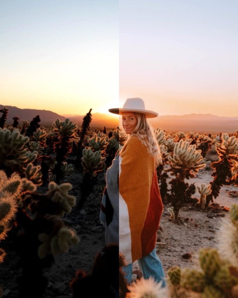 Sarah in cactus garden showing before and after editing with Salty Luxe presets