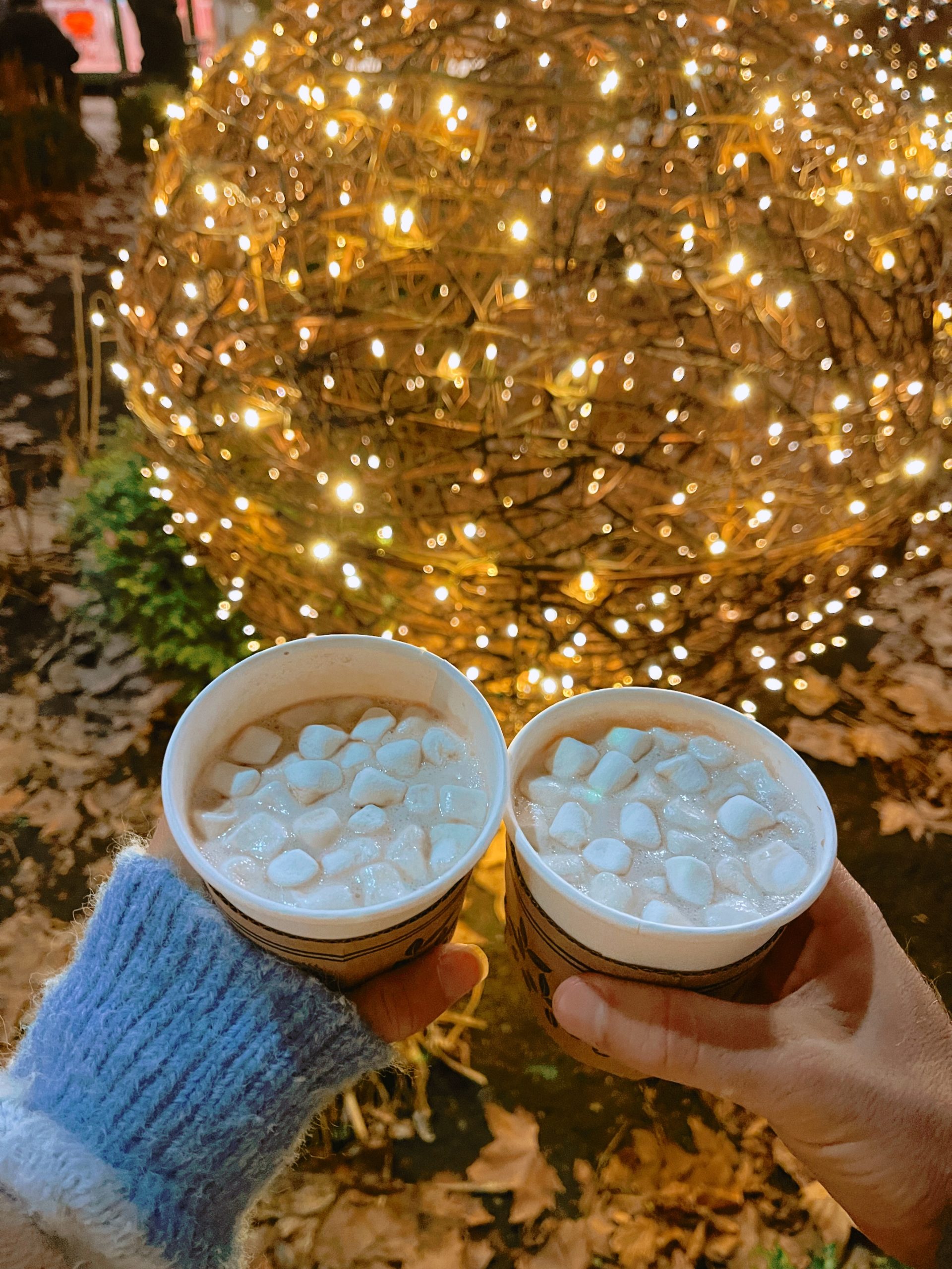 Two hot chocolates and marshmallows at Bryant Park Winter Village