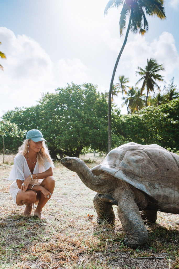 Woman crouched next to giant tortoise.