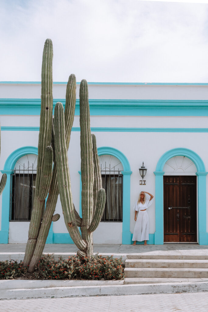 Woman standing next to giant cactus, in front of a blue and white colonial style building.