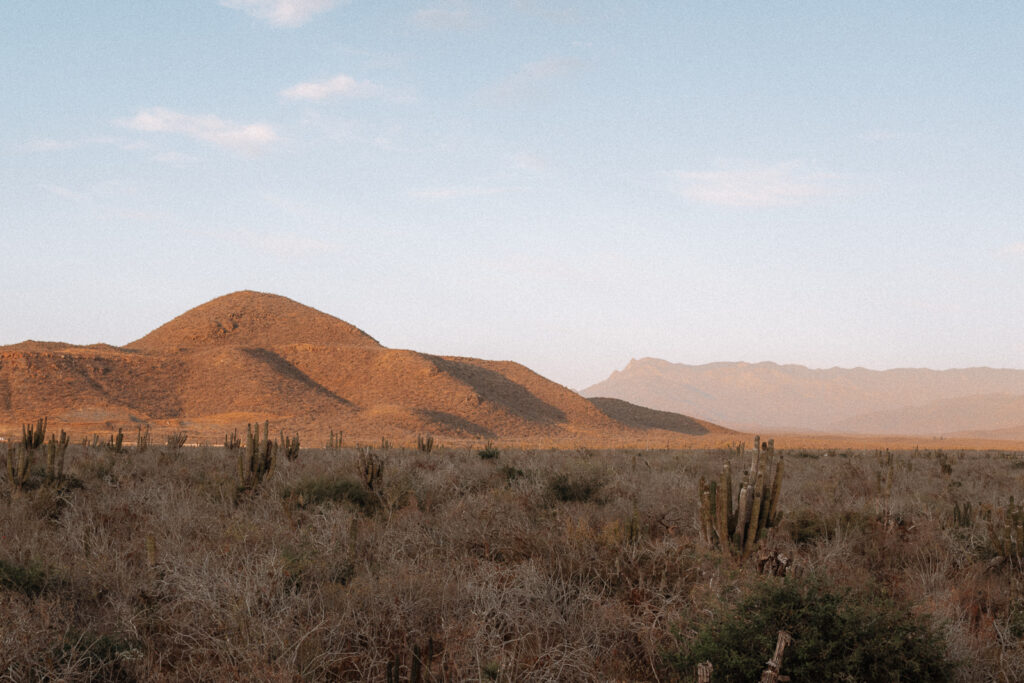 Views of mountains with cactus landscape in foreground