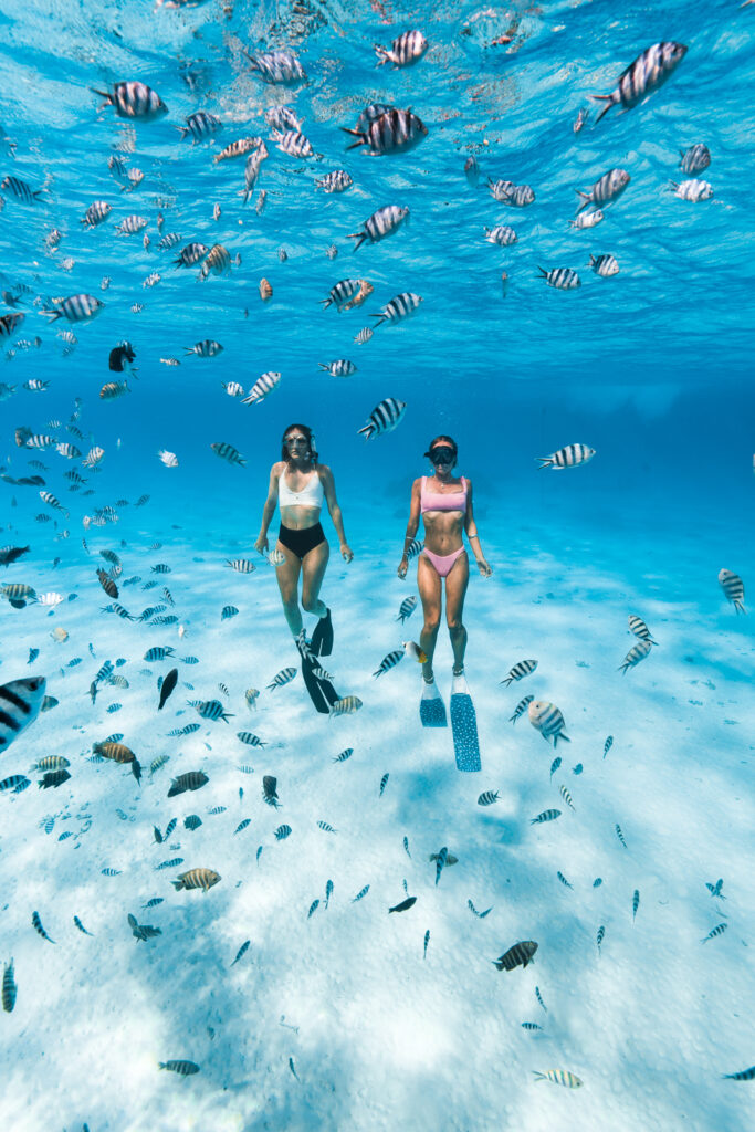 Two women swimming to the surface of the water, with plenty of white and black tropical fish surrounding them.