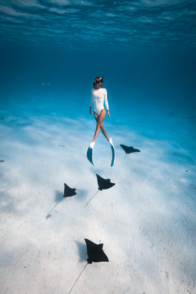 Woman free-diving with four eagle rays swimming near the white sandy bottom of the lagoon in Bora Bora
