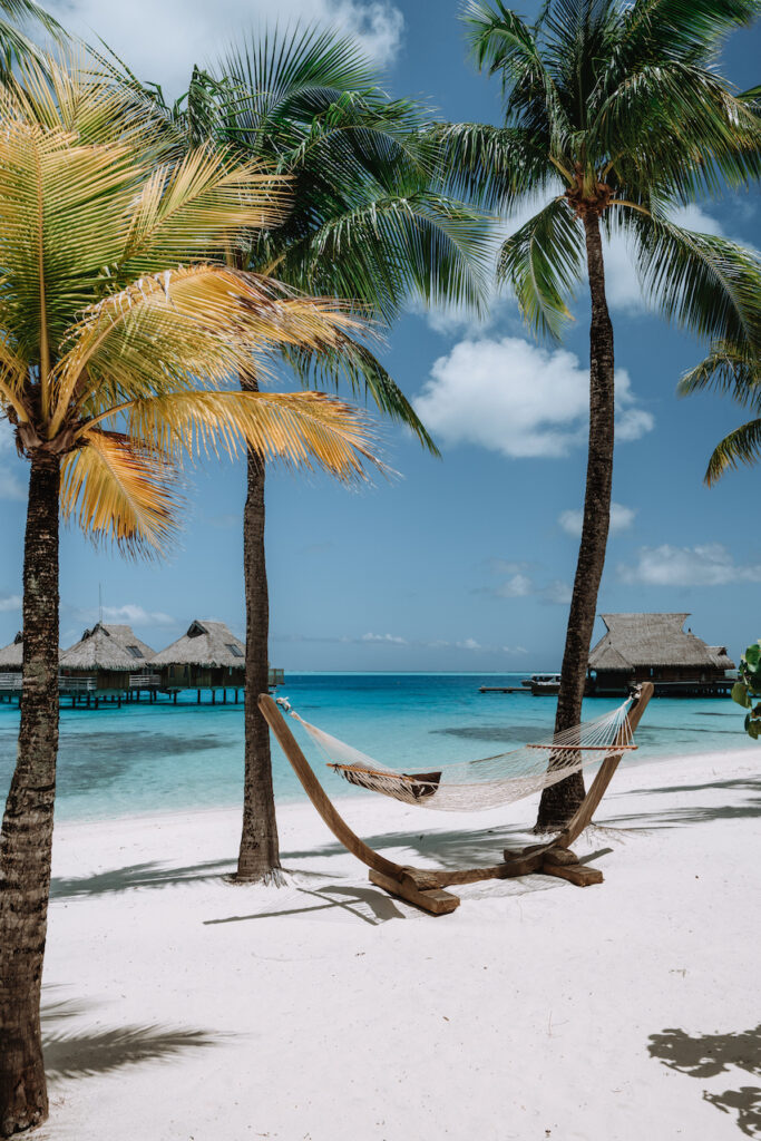 Empty hammock under palm trees on white sand beach.