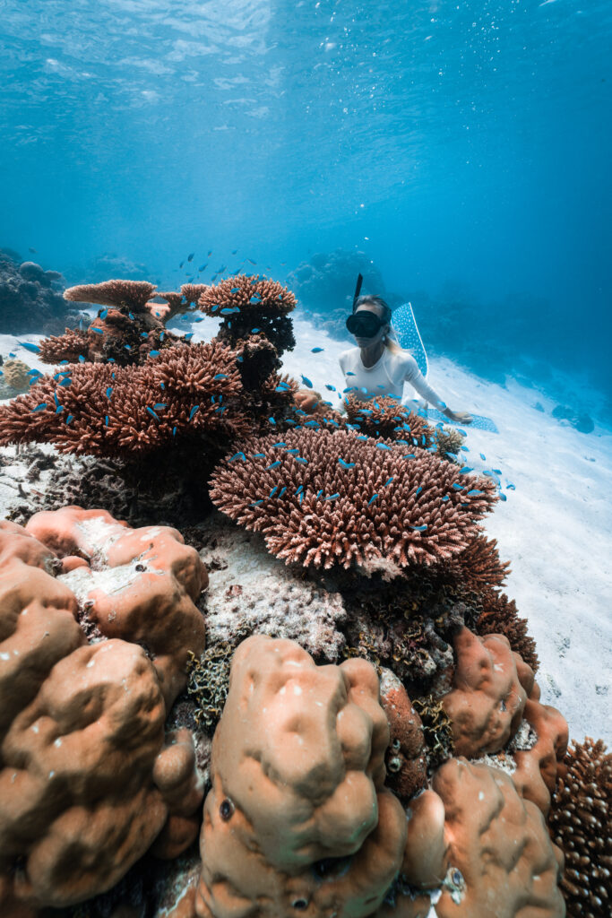 Woman snorkelling and looking at large corals with fish