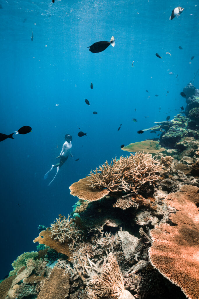 Woman swimming up to the surface past a coral reef 'droff-off'