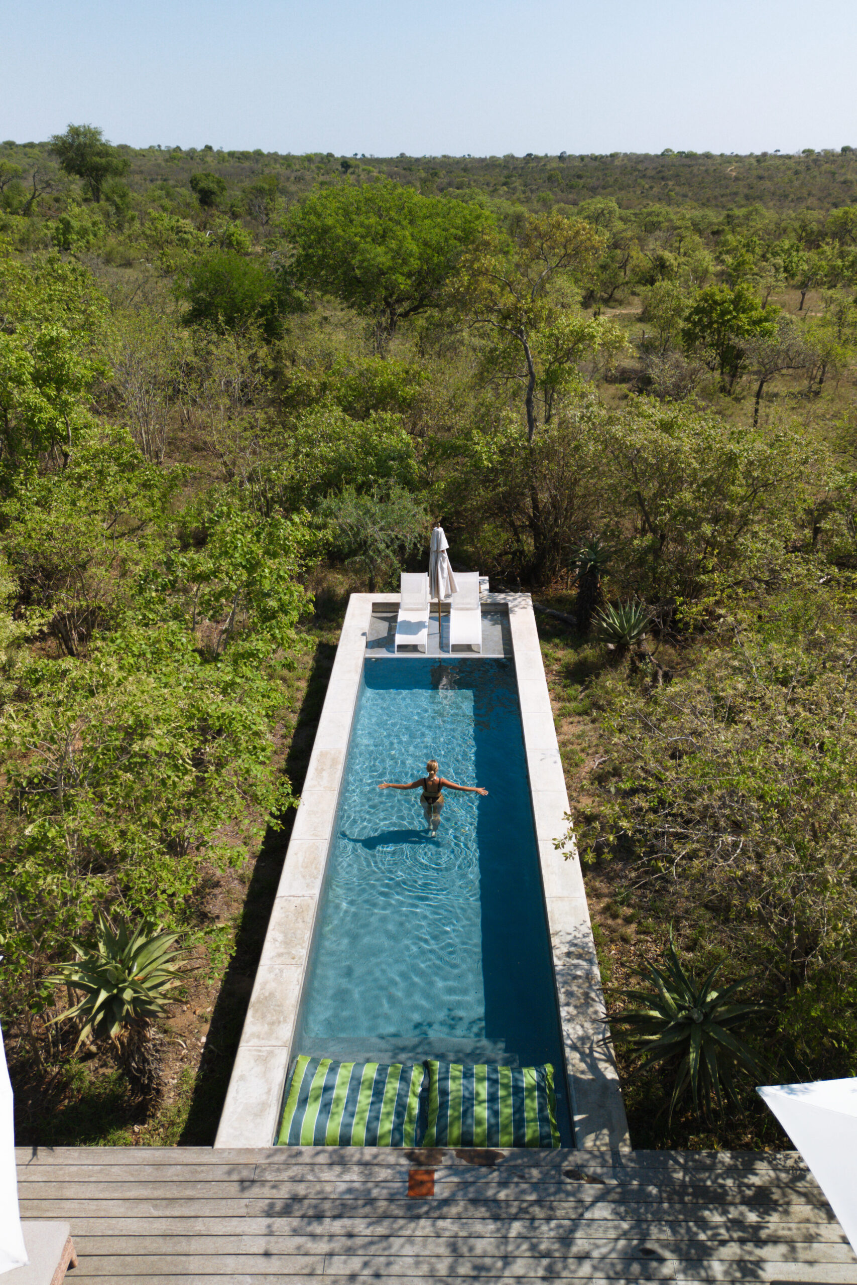 salty luxe in the pool at farmhouse at farmstead royal malewane as it extends into the surrounding bush