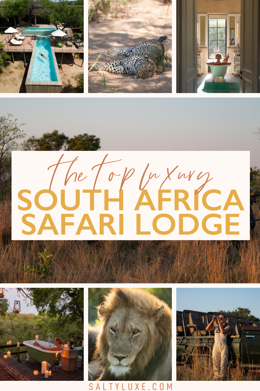 the top luxury south africa safari lodge royal malewane south africa pin