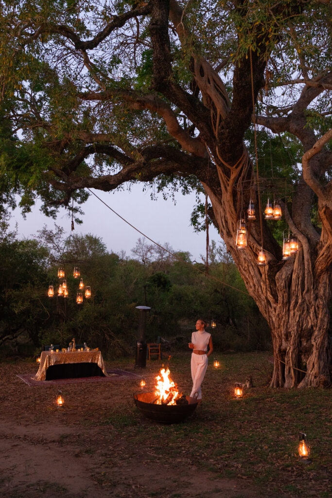 salty luxe standing under a tree with lanterns at royal malewane south africa