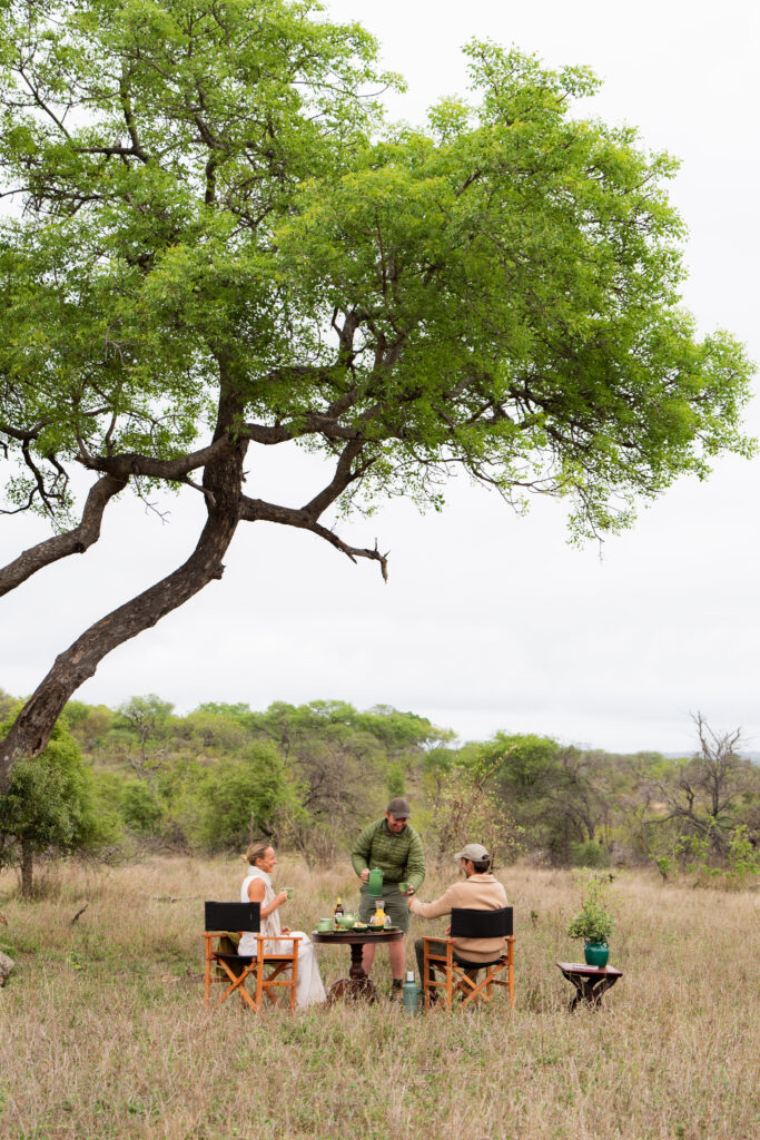 a royal malewane employee serves a couple tea in the bush