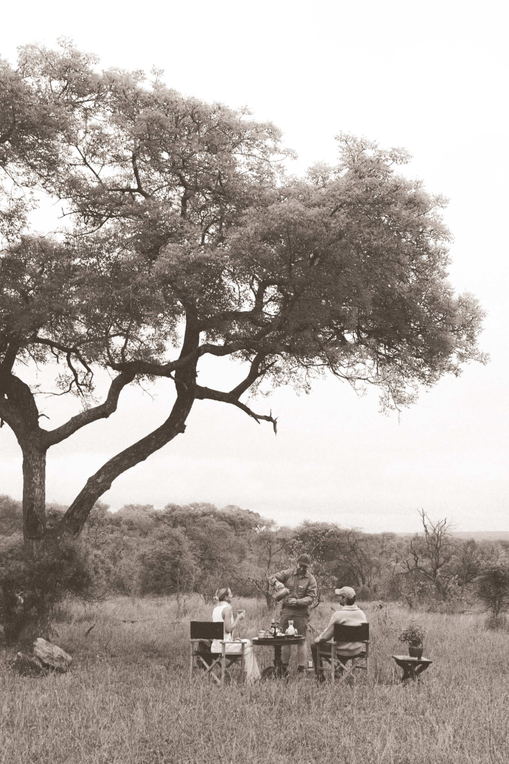 black and white photo of kruger national park where a royal malewane employee serves tea to a couple