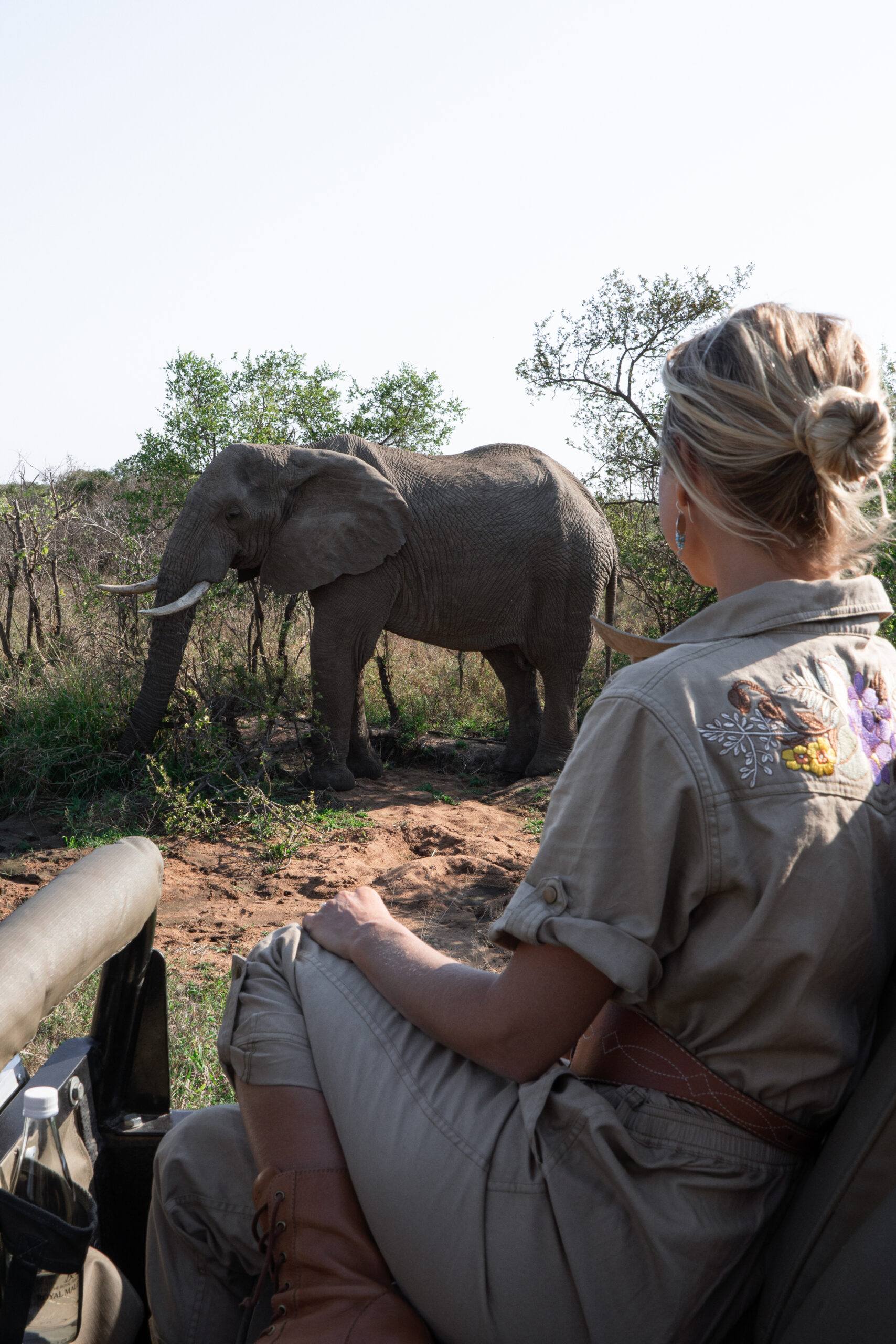 salty luxe looking at an elephant in kruger national park