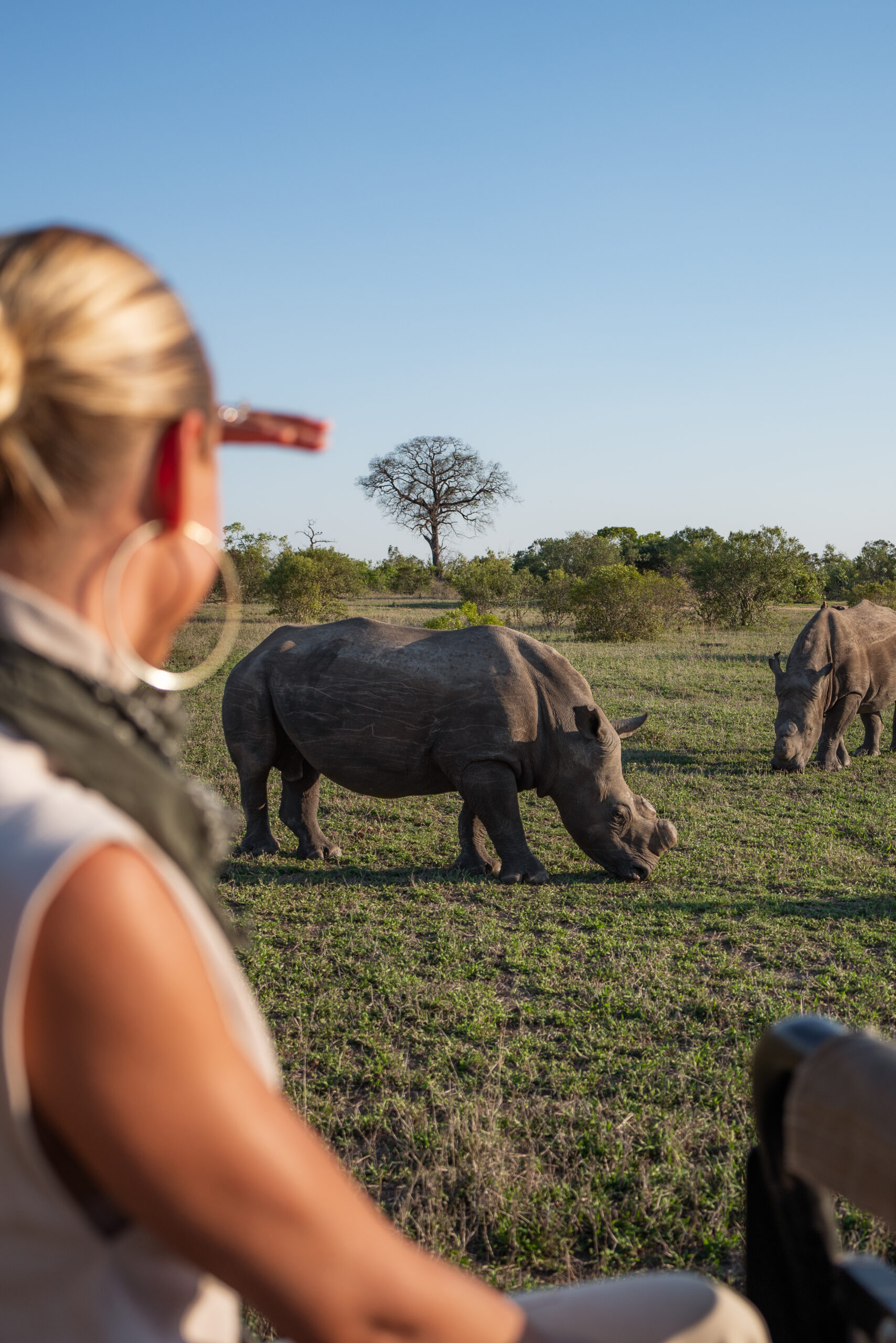 salty luxe looking at a rhino in kruger national park with royal malewane