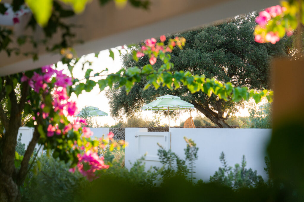 bougainvillea at villa le blanc gran melia