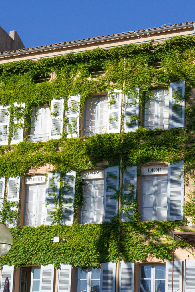 dior in saint tropez covered in ivy