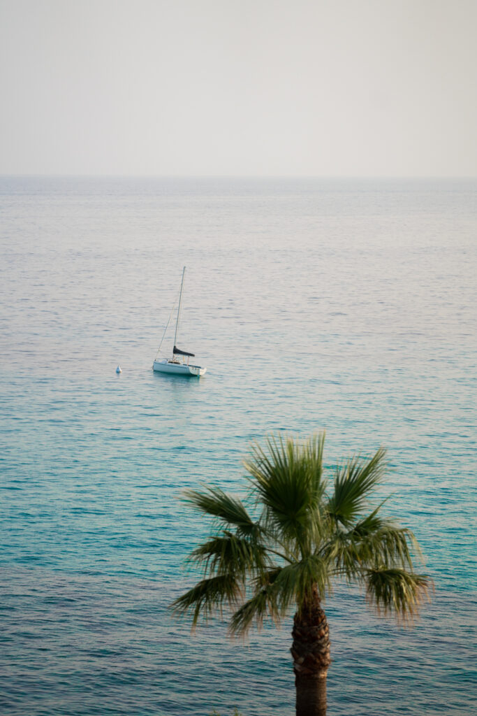 a sailboat and palm tree in menorca