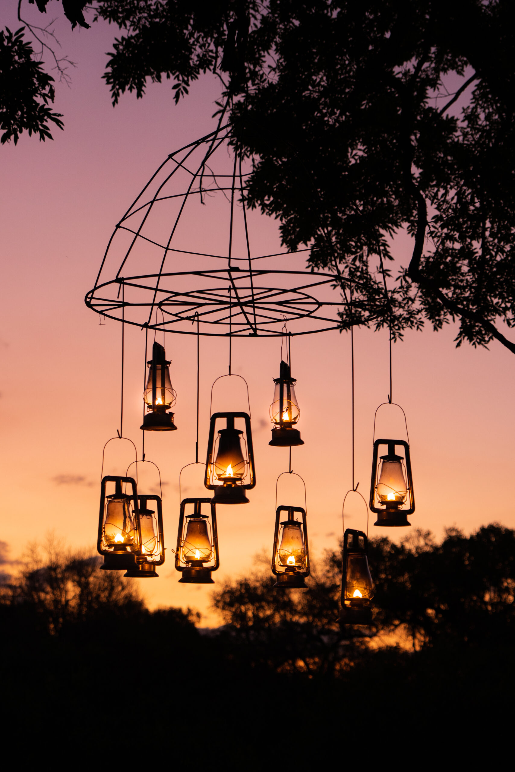 lanterns hanging from a tree at sunset