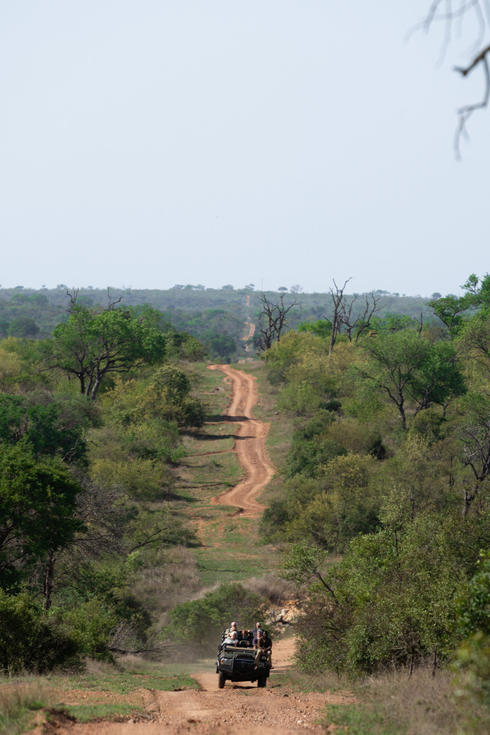 royal malewane safari vehicle in kruger national park