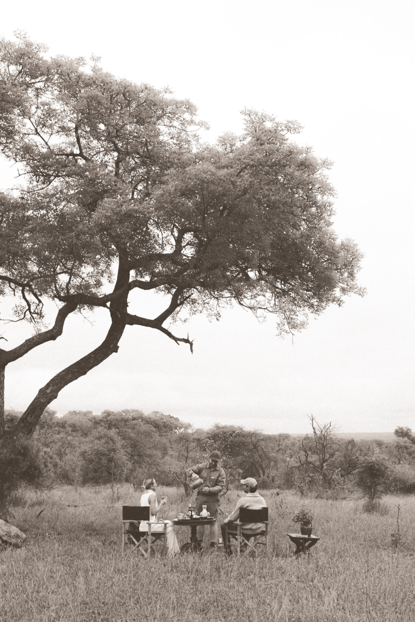 black and white photo of a couple being served tea in the south african bush