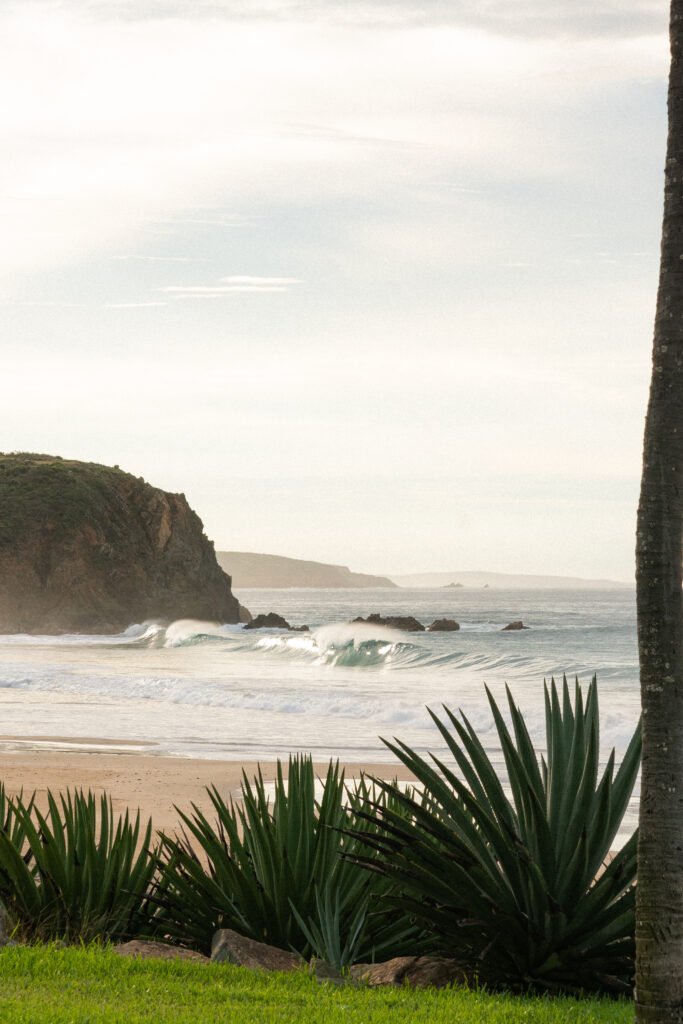 beach at las alamandas