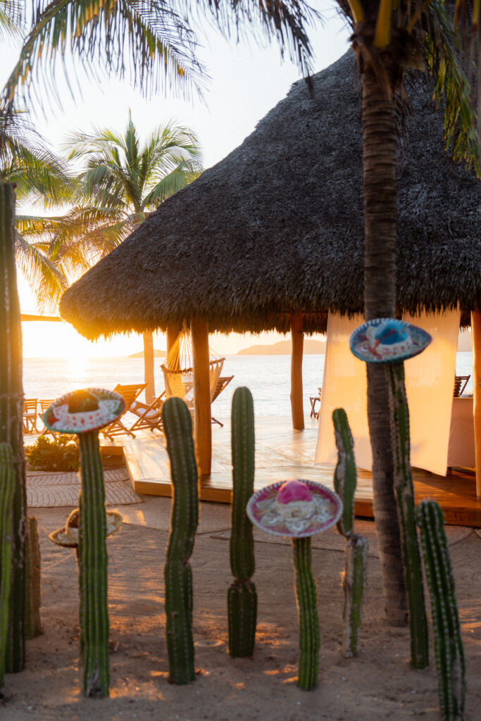 cactuses with sombreros at las rosadas