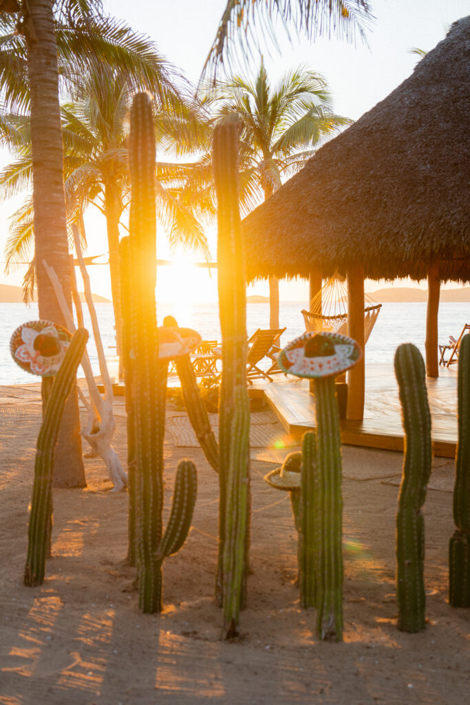 sunset through the cactuses with sombreros on the beach at las rosadas resort mexico